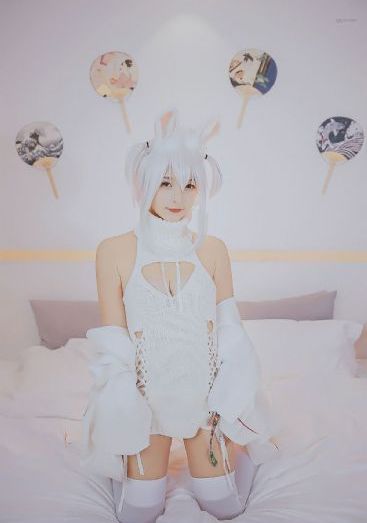 燕双鹰电视剧
