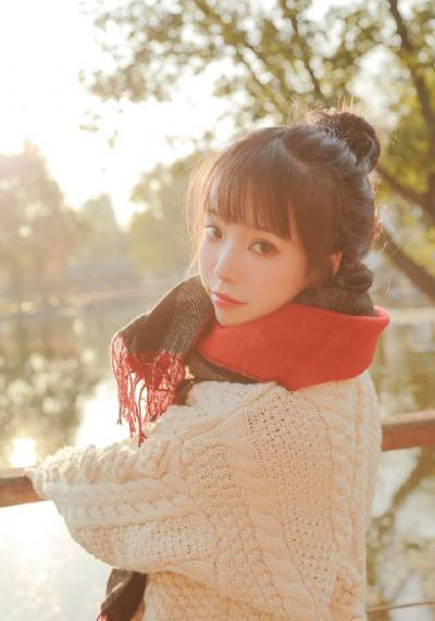 蔷薇风暴免费观看