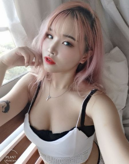 憧憬成为魔法少女第一季